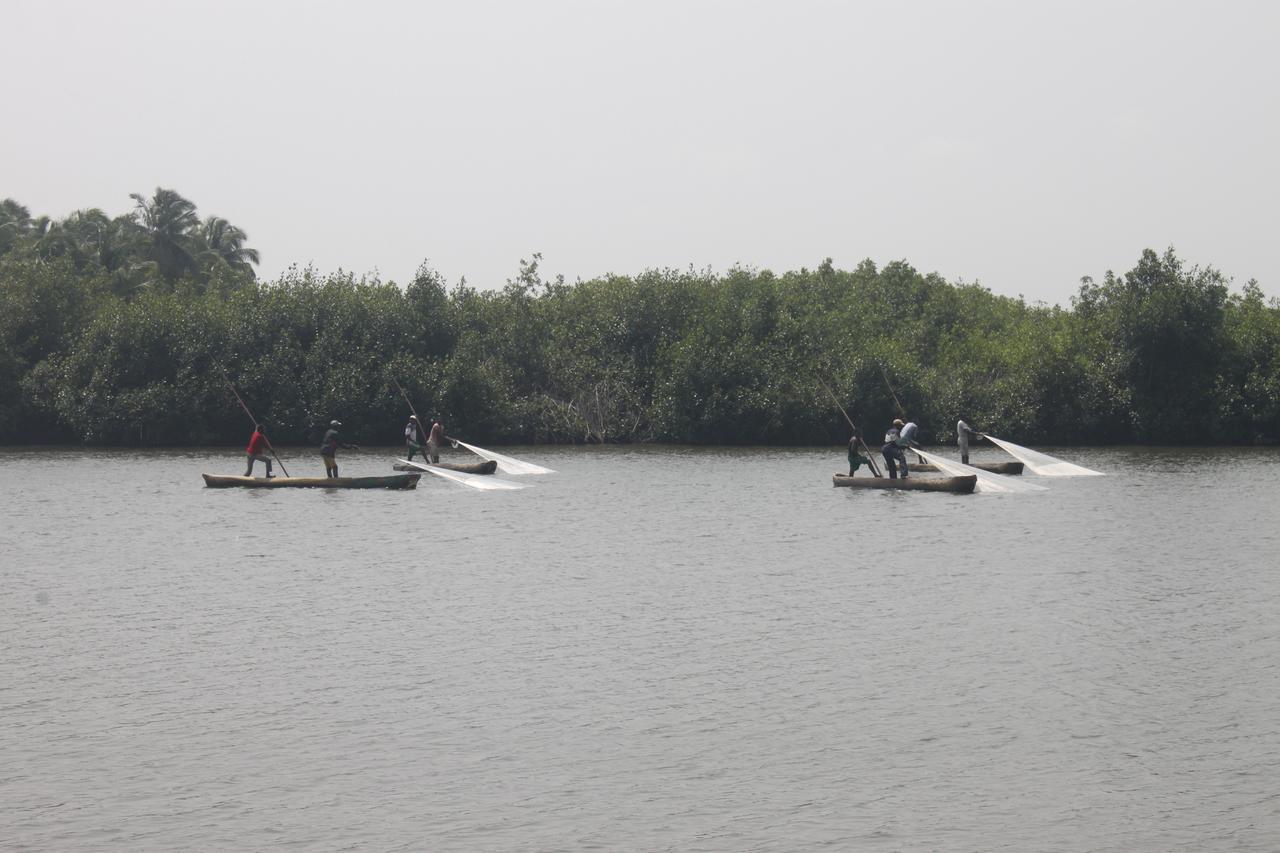 Natura luxury lodge Ouidah Exterior foto